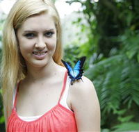 Australian Butterfly Sanctuary - Broome Tourism