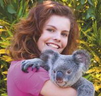 Kuranda Koala Gardens - Broome Tourism