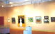 Griffith Regional Art Gallery - thumb 0