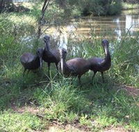 East Tolans Farm Tour - Broome Tourism