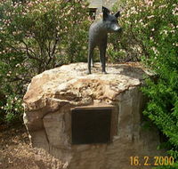 Dingo Statue - Broome Tourism