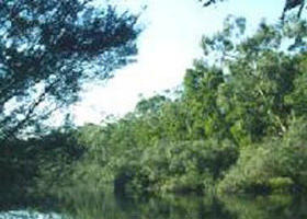 Crawford River Regional Park - Broome Tourism 0