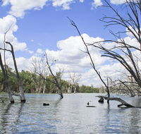 Murrumbidgee Valley National Park - Broome Tourism