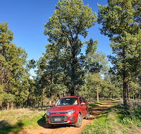Forest drive - Broome Tourism