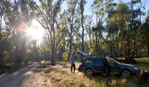 Forest Drive - Broome Tourism 1