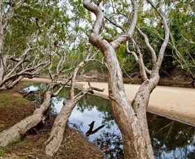 Coen QLD Broome Tourism