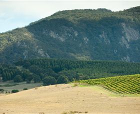 Dobie VIC Broome Tourism