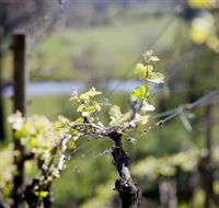 Mountainside Wines - Broome Tourism