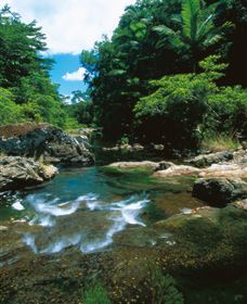 Cedar Creek Falls - Broome Tourism 1