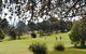 Narrandera Golf Course - thumb 0