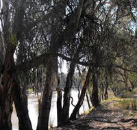 Mia Forest Drives Narrandera - Broome Tourism