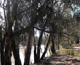 Mia Forest Drives Narrandera - Broome Tourism 0