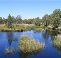 Narrandera Wetlands - Broome Tourism