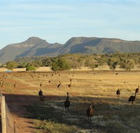 Emu Logic - Broome Tourism
