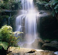 Mount Buangor State Park - Broome Tourism