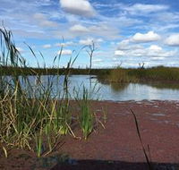 Gwydir Wetlands - Broome Tourism