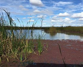 Gwydir Wetlands - Broome Tourism 0