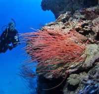 Three Sisters Dive Site - Broome Tourism