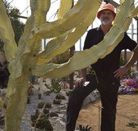 Cactus Country - Broome Tourism