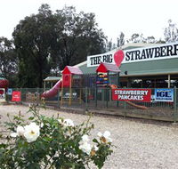 The Big Strawberry - Broome Tourism