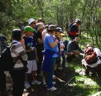 Warrumbungle National Park Discovery Program - Broome Tourism