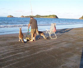 Halliday Bay QLD Broome Tourism