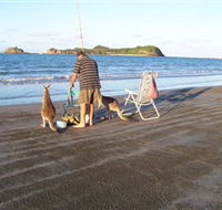 Cape Hillsborough National Park - Broome Tourism