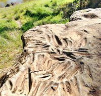 Terramungamine Rock Grooves - Broome Tourism
