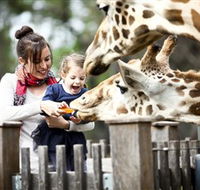 Taronga Western Plains Zoo Dubbo - Broome Tourism