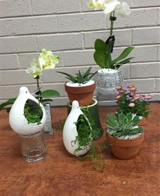 Cobram Florist - Broome Tourism 0
