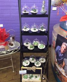 Cobram Florist - Broome Tourism 3