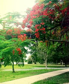 Gooseponds, North Mackay - Broome Tourism 1