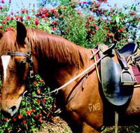 Western Plains Riding Centre - Broome Tourism