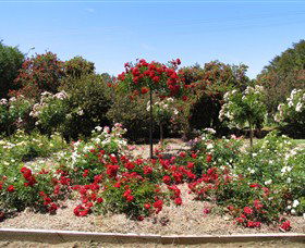 Barooga Botanical Gardens - Broome Tourism 2