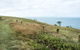 Cape Palmerston National Park - thumb 3