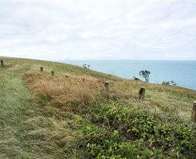 Cape Palmerston National Park - Broome Tourism 3