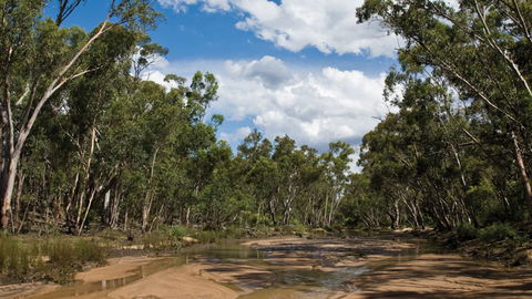 Pilliga National Park - Broome Tourism 2