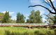 Pilliga National Park - thumb 3