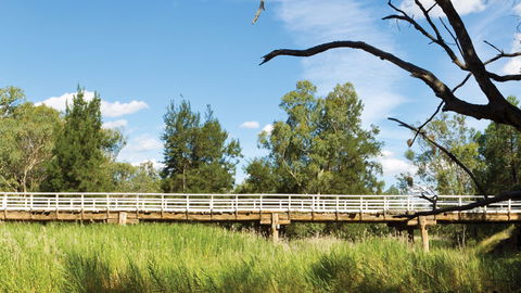 Pilliga National Park - Broome Tourism 3