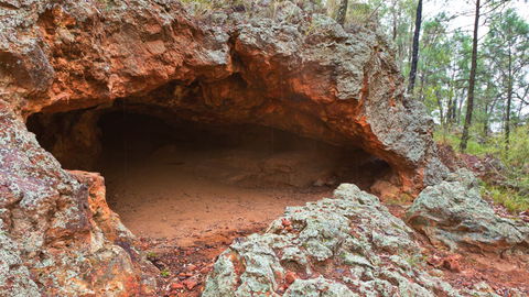 Pilliga National Park - Broome Tourism 1