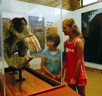 Australian Museum Diprotodon Exhibition - Broome Tourism