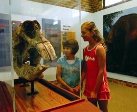 Australian Museum Diprotodon Exhibition - Broome Tourism 0