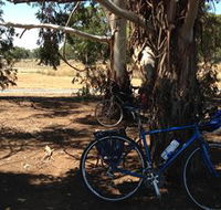 Murchison Rail Trail - Broome Tourism
