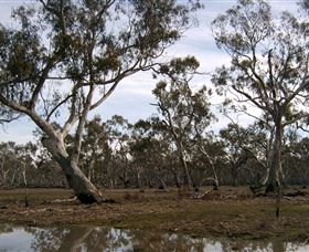 Murchison Rail Trail - Broome Tourism 1