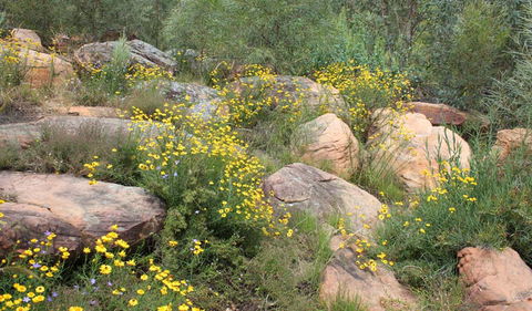 Ben Hall's Cave Walking Track - Broome Tourism 2