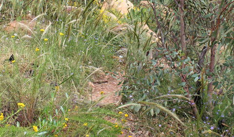 Ben Hall's Cave Walking Track - Broome Tourism 1