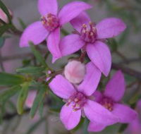 Self Drive Geology and Nature Trails - Broome Tourism