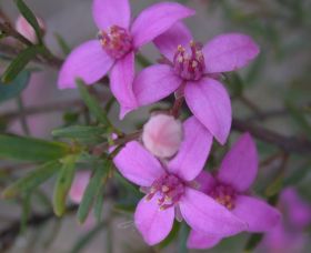 Self Drive Geology And Nature Trails - Broome Tourism 0