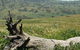 Self Drive Geology And Nature Trails - thumb 3