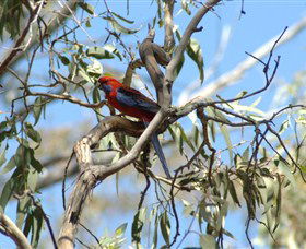 Self Drive Geology And Nature Trails - Broome Tourism 2